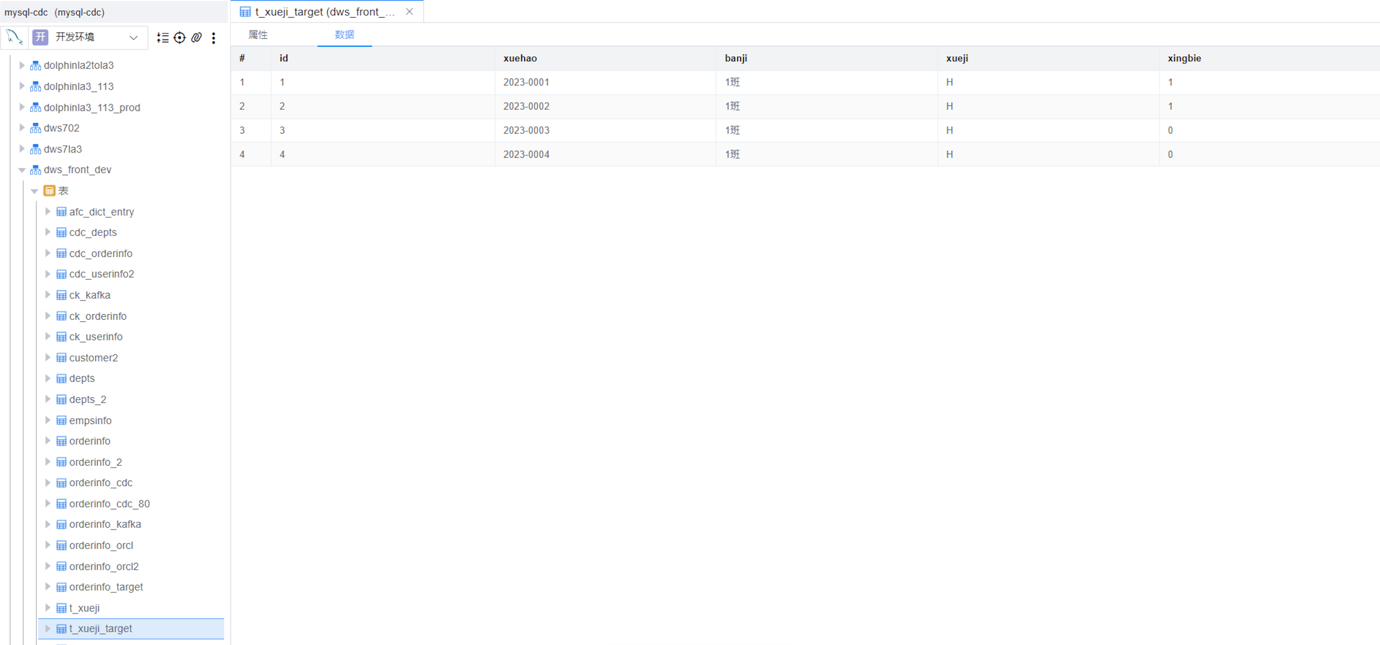 image-20241129173624899